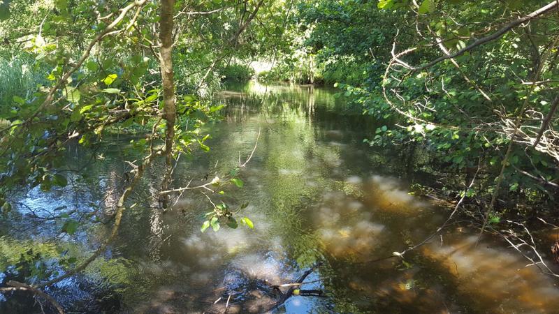 Propriété - 835 m² - 32 pièces