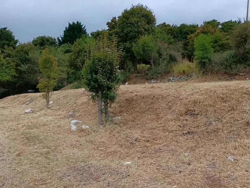 Terrain constructible - 2 295 m²