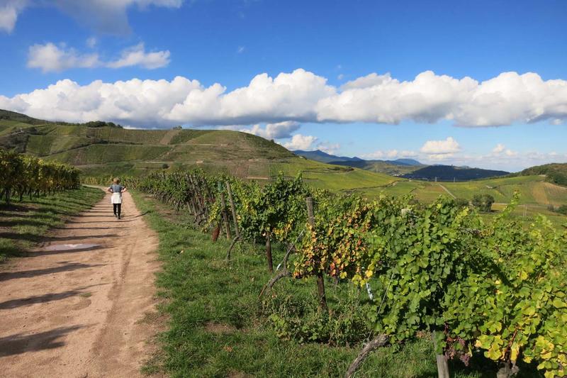 Club Vosgien : Marche douce à Turckheim