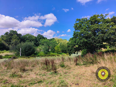 Maison - 750 m² - 13 pièces