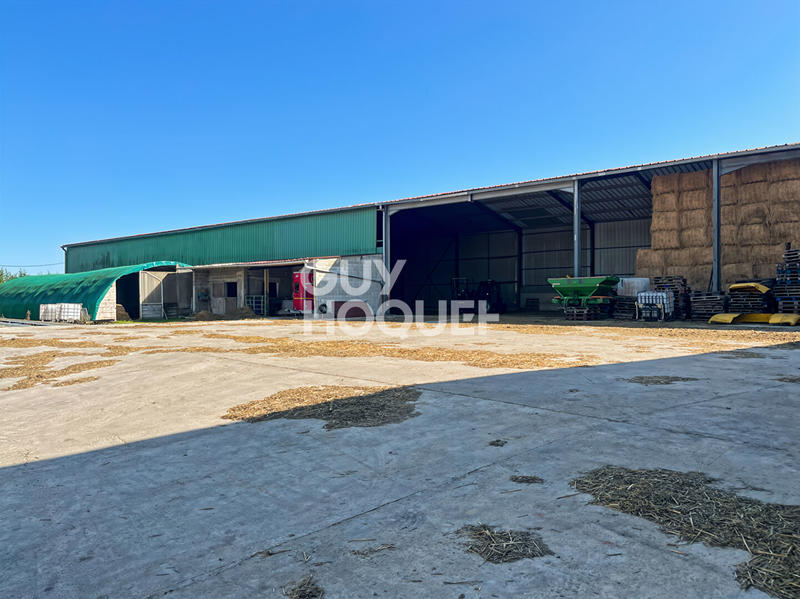 Maison - 143 m² - 6 pièces