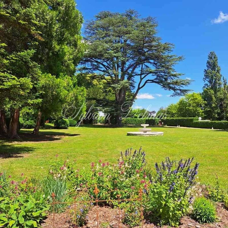 Château - 2 000 m² - 50 pièces