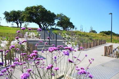 Terrain constructible - 465 m²