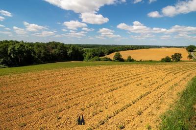 Terrain - 14 290 m²