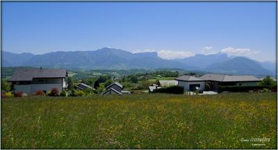 Terrain constructible - 1 334 m²