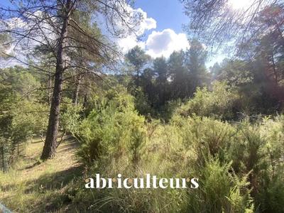 Terrain - 2 653 m²