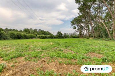 Terrain de loisirs - 952 m²