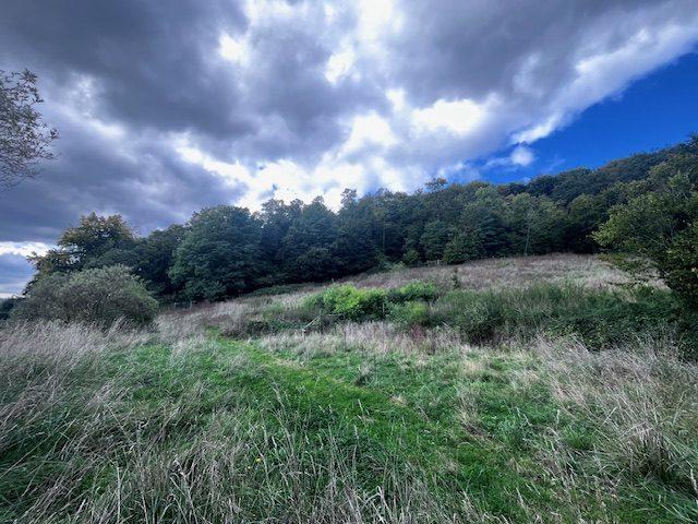 Maison - 200 m² - 7 pièces