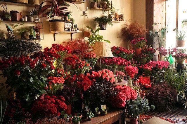 Fonds de commerce - Magasins - 70 m²