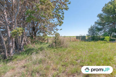 Terrain de loisirs - 569 m²