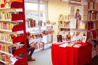 Livres en citadelle : Exposition &quot;Blizzard&quot; de Pascaline Mitaranga