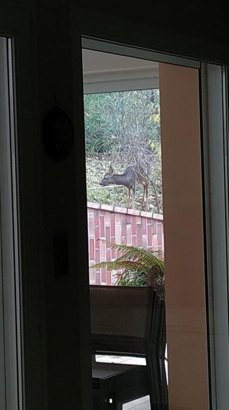 Maison d'architecte - 176 m² - 7 pièces