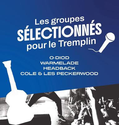 Tremplin des Tufféeries