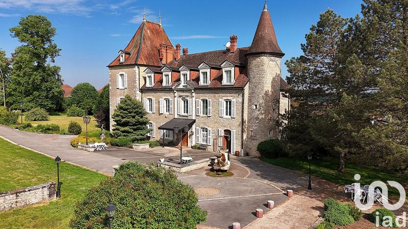 Château - 677 m² - 21 pièces