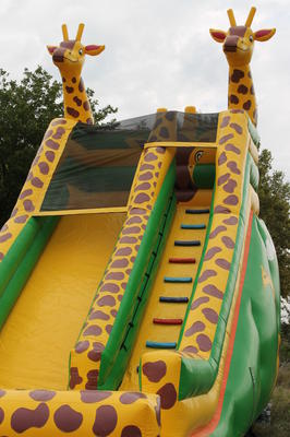 chez mickey le palaccio