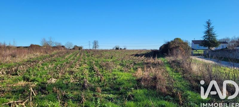 Terrain - 11 924 m²