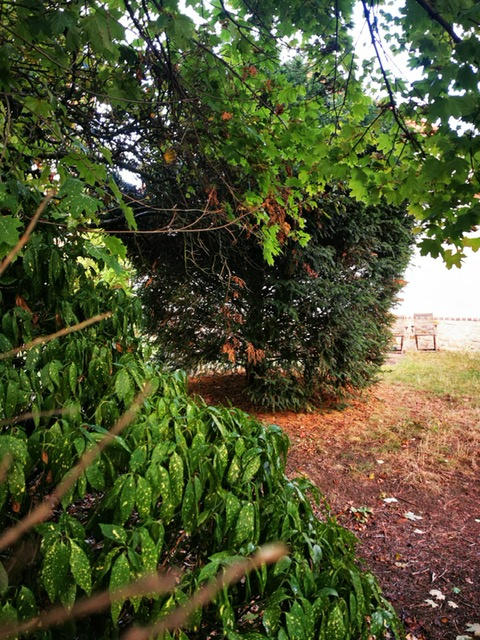 Maison - 130 m² - 4 pièces