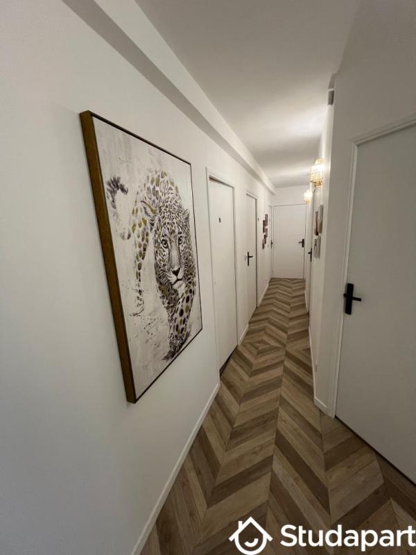 Chambre - 11 m² - 1 pièce