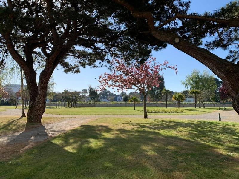 Studio - 25 m² - 1 pièce