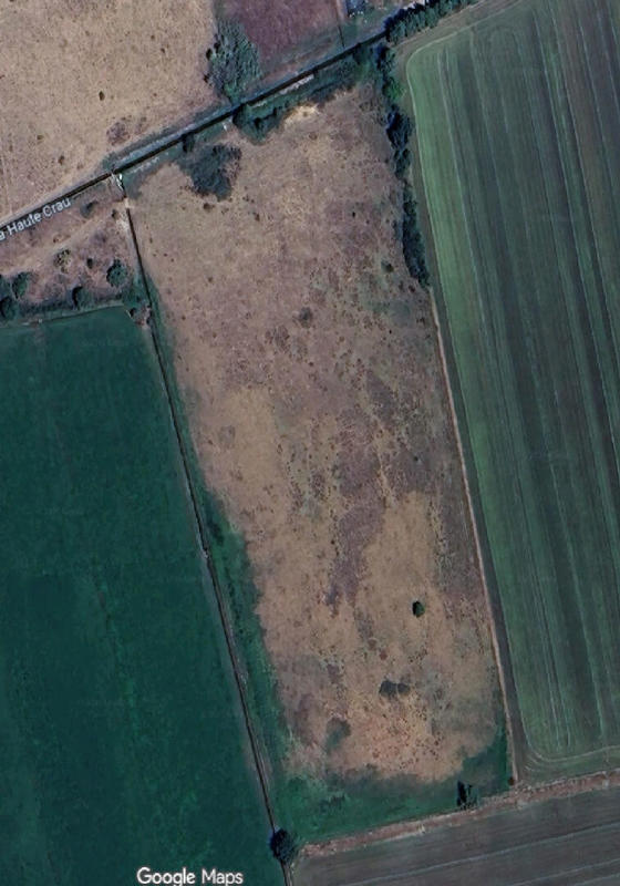 Terrain - 39 530 m²