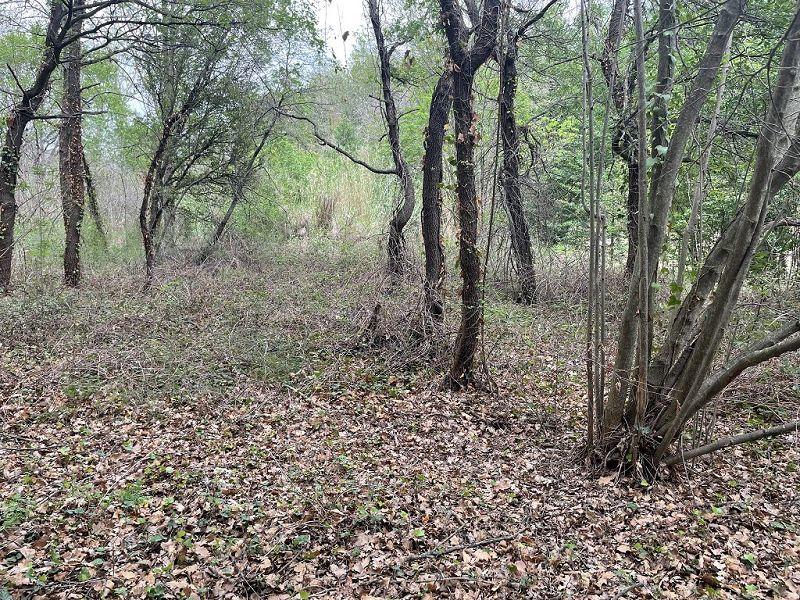 Terrain - 25 400 m²