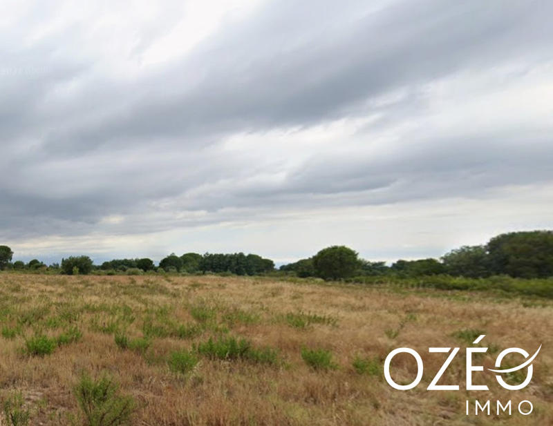 Terrain agricole - 10 687 m²