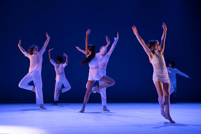 Josette Baïz/Jean-Claude Gallotta - Ulysse