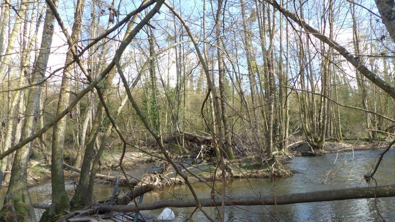 Terrain de loisirs - 2 345 m²