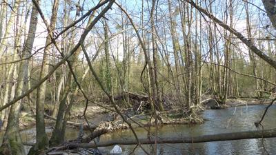 Terrain de loisirs - 2 345 m²