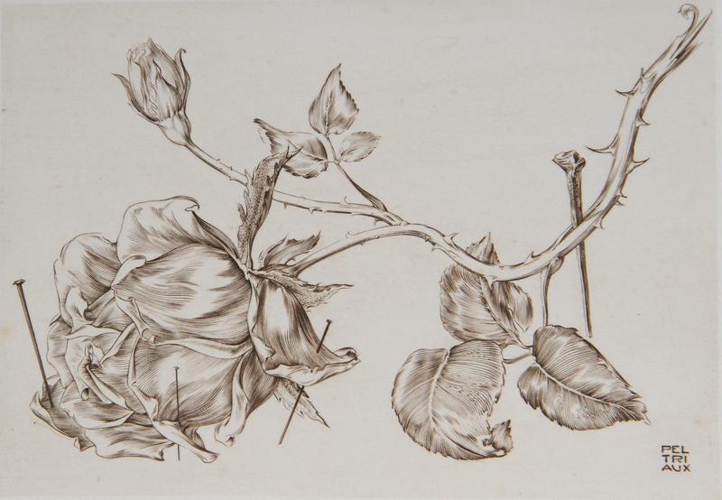 « Rencontre »  Exposition Luc Peltriaux     Caissargues     du 30 Avril au 17 Mai  2026