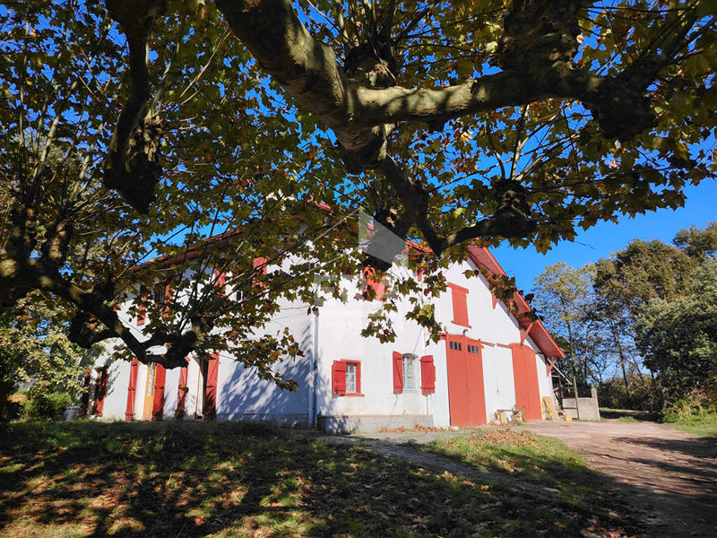 Maison - 132 m² - 6 pièces