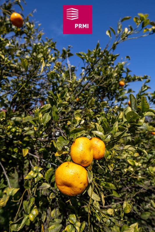 Maison - 300 m² - 8 pièces