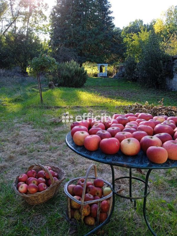 Maison bourgeoise - 156 m² - 5 pièces