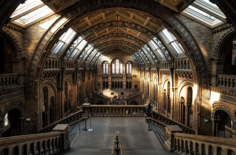 Nuit des musées | un musée dans le noir