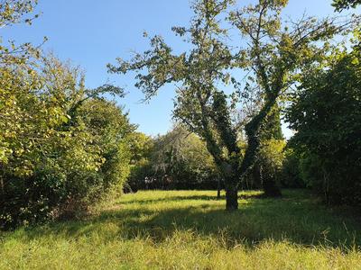 Terrain constructible - 720 m²