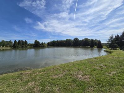 Étang - 43 885 m²