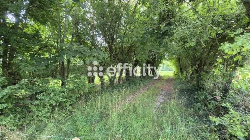 Maison - 180 m² - 6 pièces