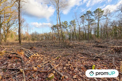 Terrain de loisirs - 3 925 m²