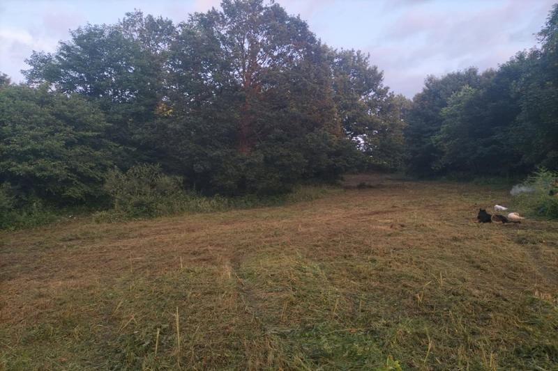 Terrain constructible - 888 m²