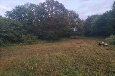 Terrain constructible - 888 m²