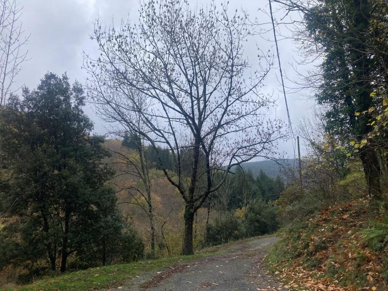 Maison en pierre - 180 m² - 11 pièces