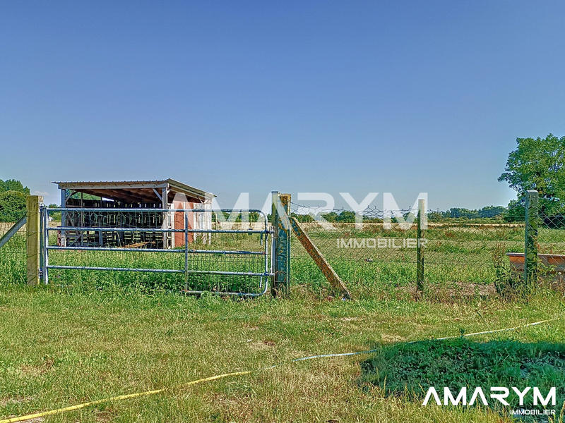 Maison - 131 m² - 6 pièces