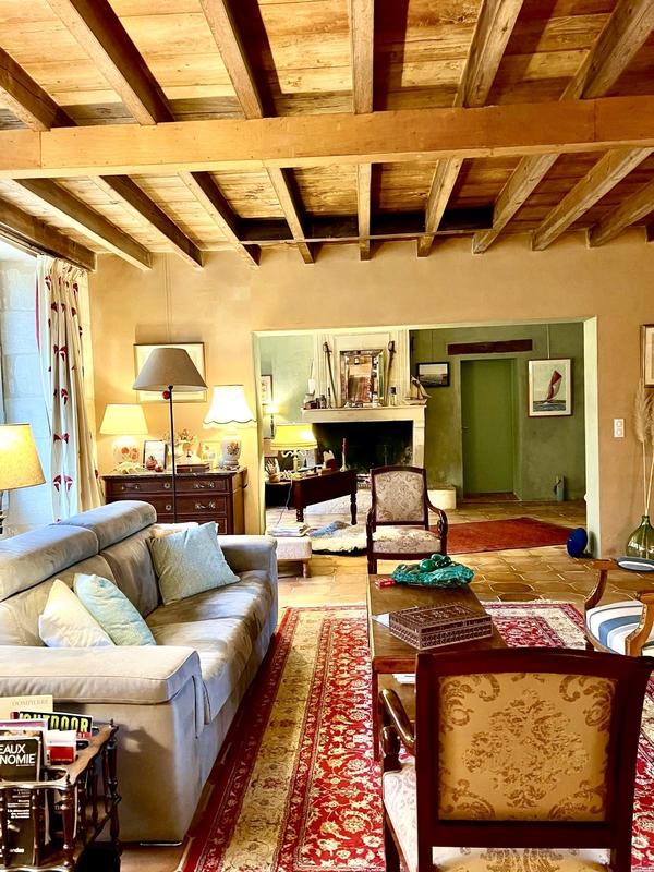 Château - 550 m² - 14 pièces