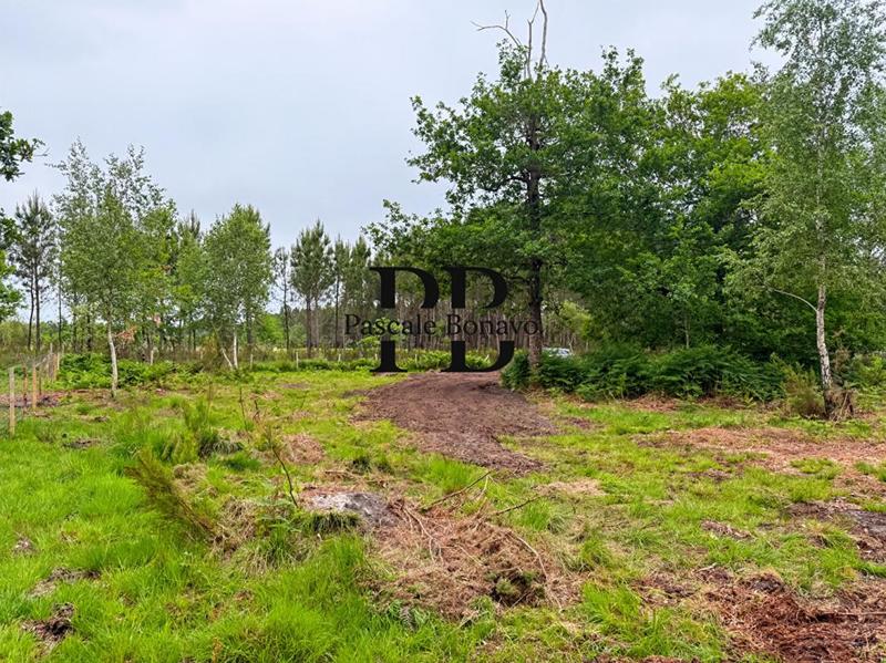 Terrain de loisirs - 2 327 m²