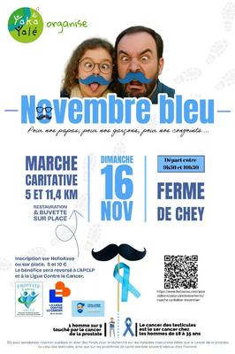 Marche caritative « Novembre bleu » à Niort