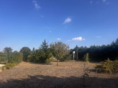 Terrain - 812 m²