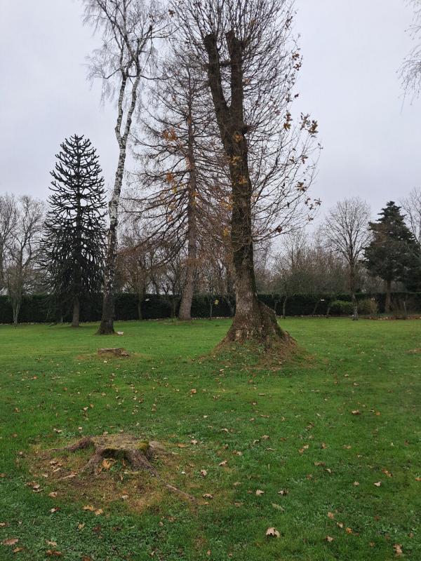 Terrain constructible - 1 000 m²