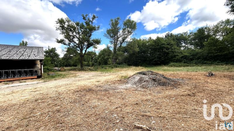 Terrain agricole - 9 750 m²