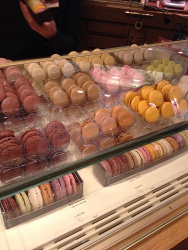 La Maison du Chocolat