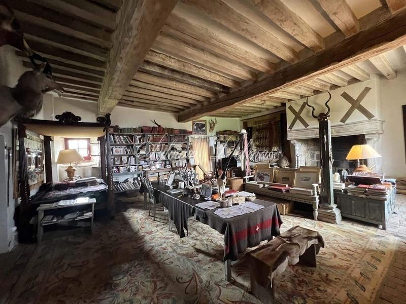 Château - 4 400 m² - 35 pièces